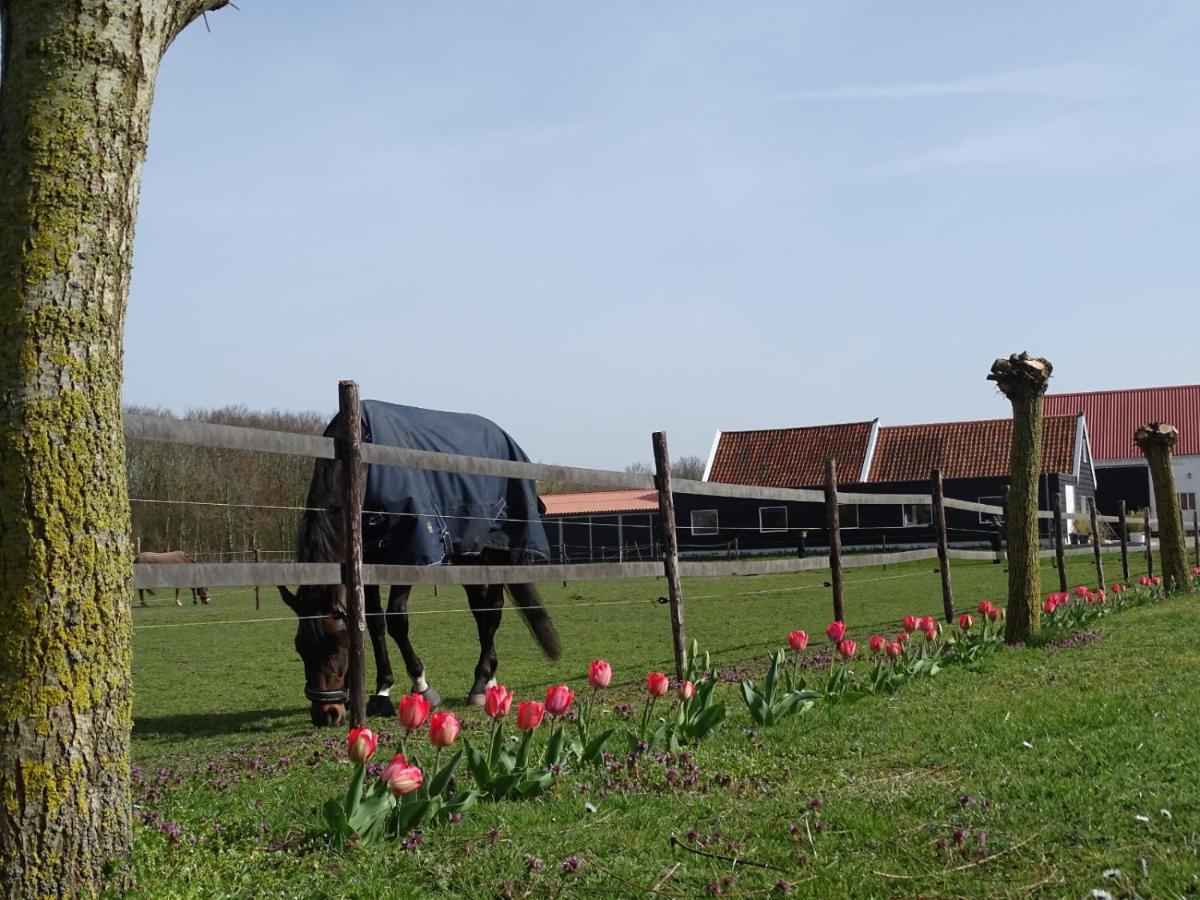 De Tulp Bed and Breakfast Noordgouwe Exteriör bild