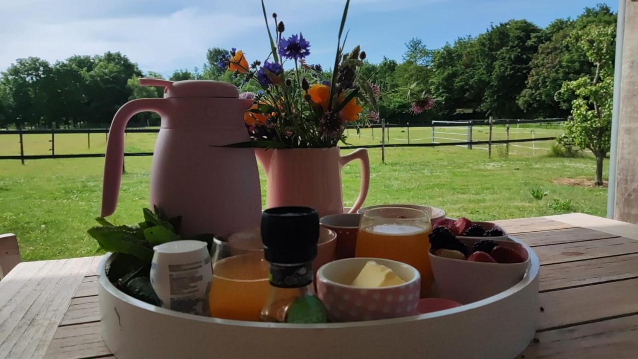 De Tulp Bed and Breakfast Noordgouwe Exteriör bild