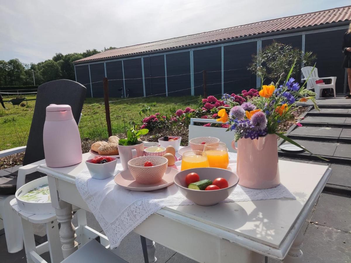 De Tulp Bed and Breakfast Noordgouwe Exteriör bild