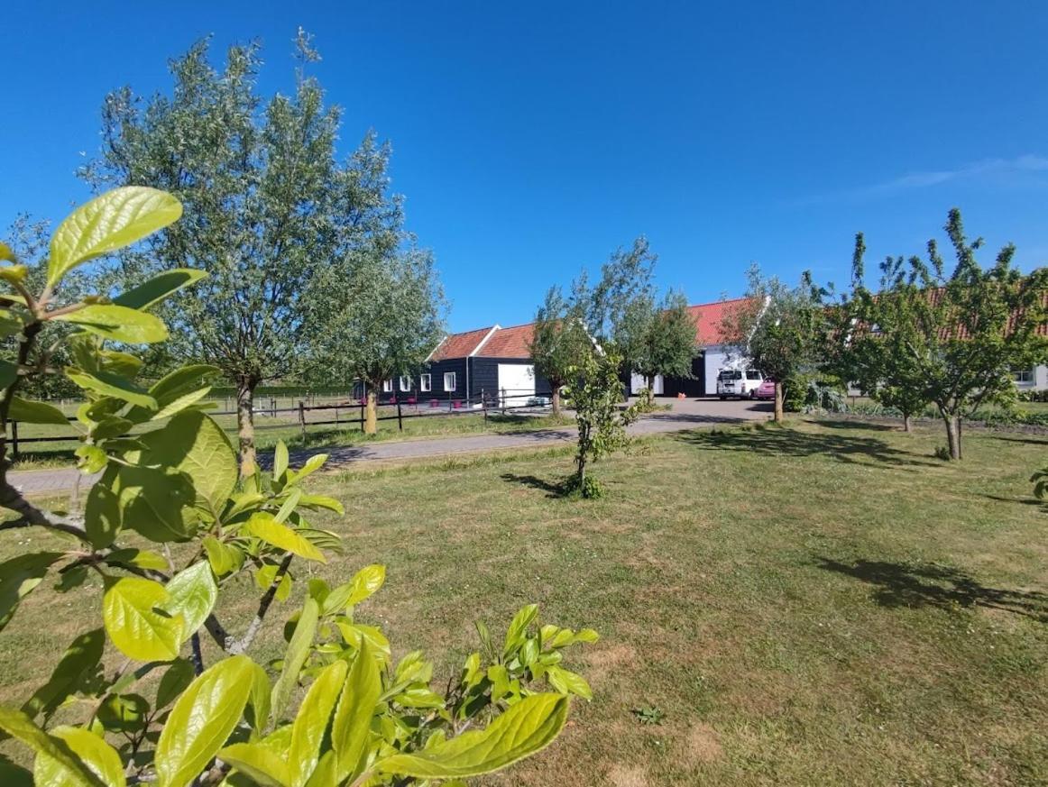 De Tulp Bed and Breakfast Noordgouwe Exteriör bild
