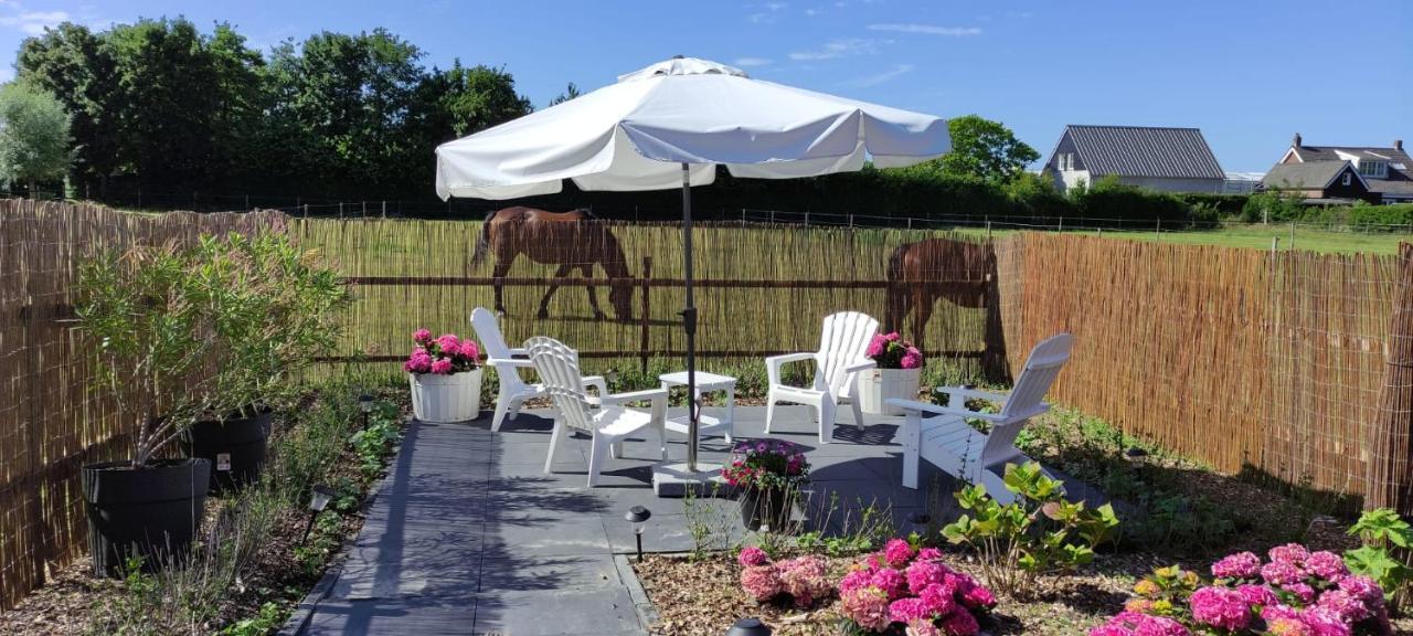 De Tulp Bed and Breakfast Noordgouwe Exteriör bild